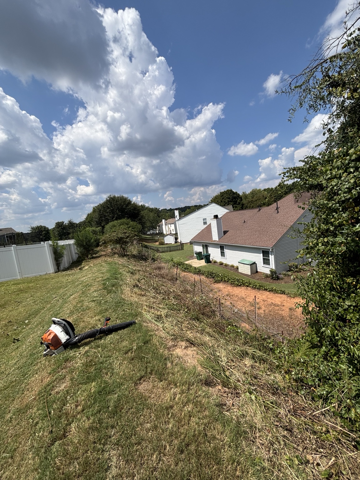 Brush cutting — after project by Westra